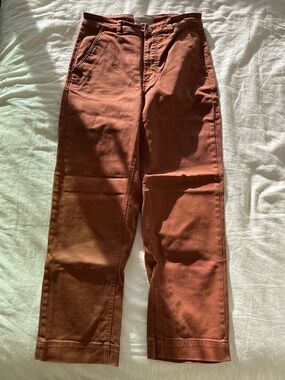 Everlane The Utility Straight-Leg Pants in Rust